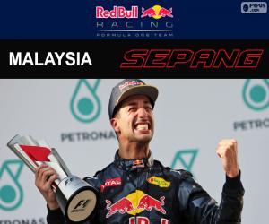 Puzzle Daniel Ricciardo, Μαλαισίας Grand Prix 2016